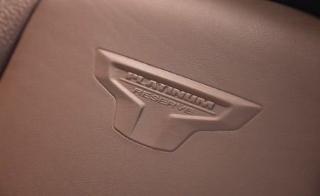 2020 Nissan TITAN Platinum Reserve Interior Detail Wallpapers 450x275 (29)