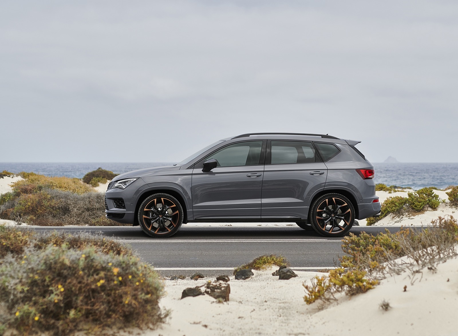2020 SEAT CUPRA Ateca Limited Edition Side Wallpapers #33 of 55