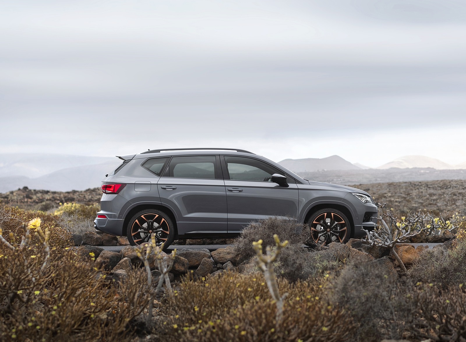 2020 SEAT CUPRA Ateca Limited Edition Side Wallpapers #34 of 55