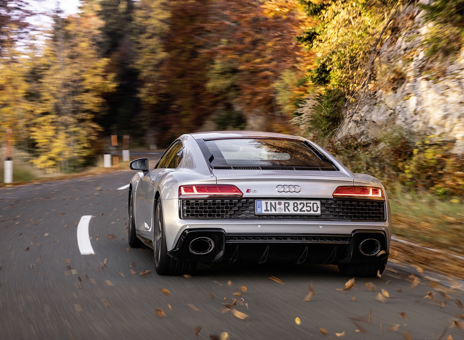 2020 Audi R8 V10 RWD Coupe (Color: Florett Silver) Rear Wallpapers #9 of 151