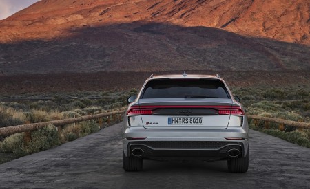 2020 Audi RS Q8 (Color: Florett Silver) Rear Wallpapers 450x275 (99)