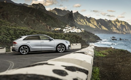 2020 Audi RS Q8 (Color: Florett Silver) Side Wallpapers 450x275 (87)