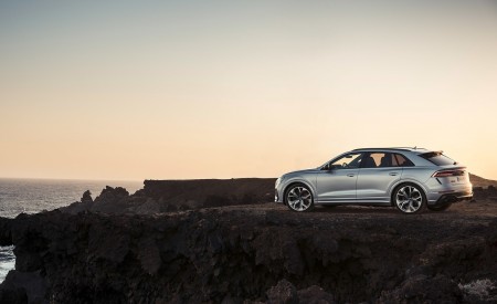 2020 Audi RS Q8 (Color: Florett Silver) Side Wallpapers 450x275 (111)