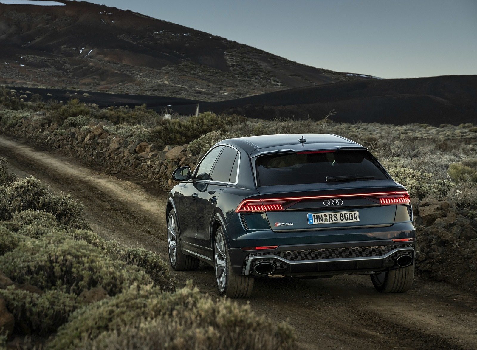 2020 Audi RS Q8 (Color: Galaxy Blue) Rear Wallpapers #60 of 196