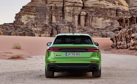 2020 Audi RS Q8 (Color: Java Green) Rear Wallpapers 450x275 (28)