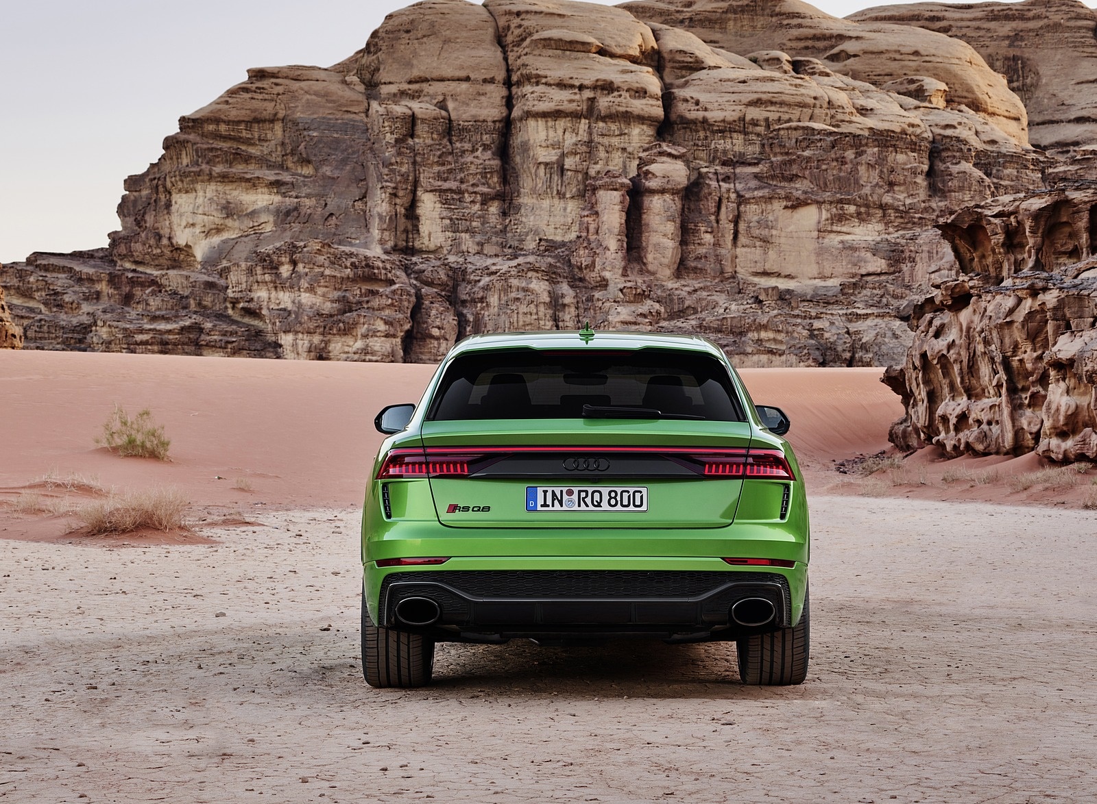 2020 Audi RS Q8 (Color: Java Green) Rear Wallpapers #28 of 196