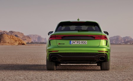 2020 Audi RS Q8 (Color: Java Green) Rear Wallpapers 450x275 (29)