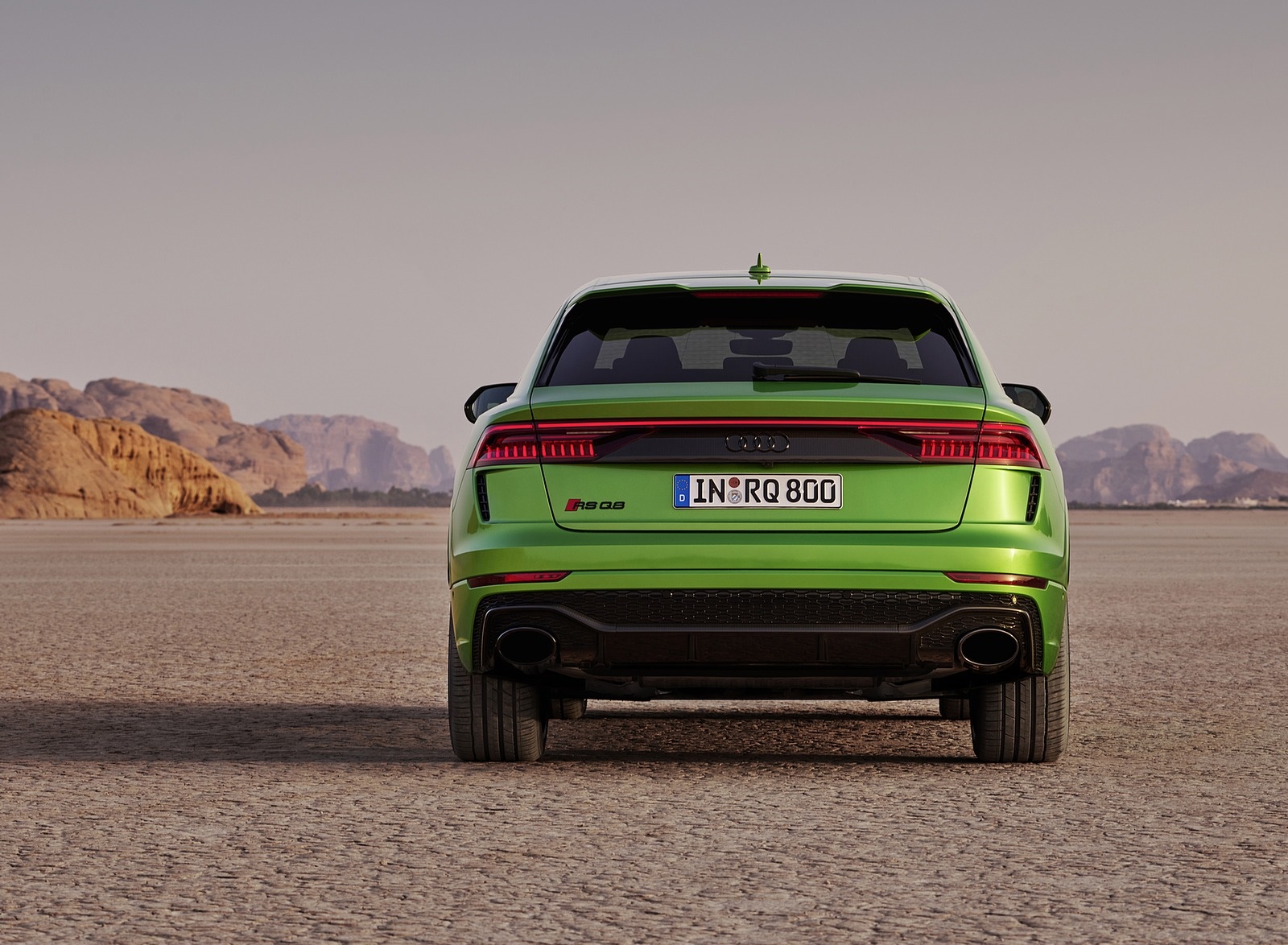 2020 Audi RS Q8 (Color: Java Green) Rear Wallpapers #29 of 196