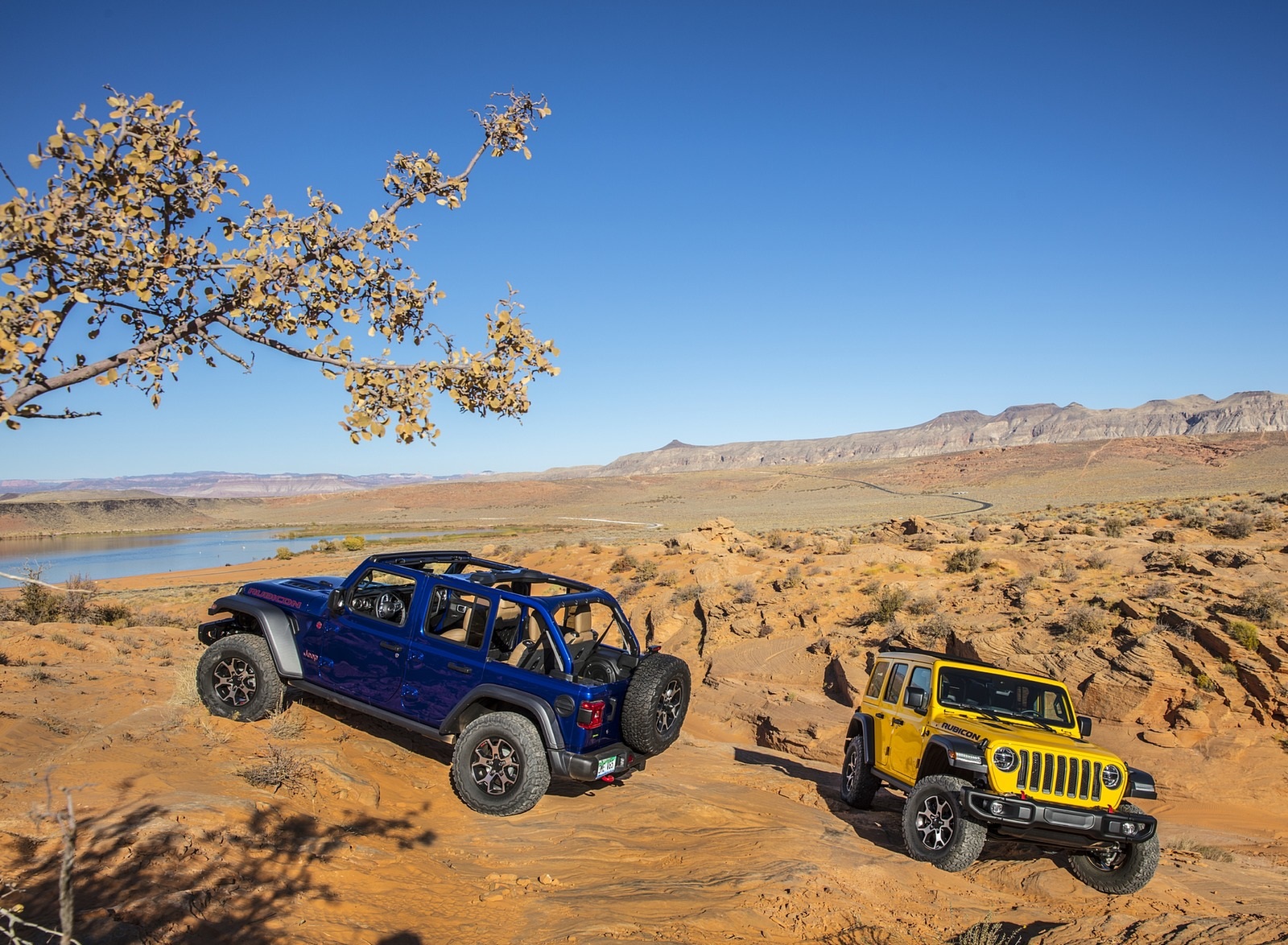 2020 Jeep Wrangler Rubicon EcoDiesel Wallpapers (2)
