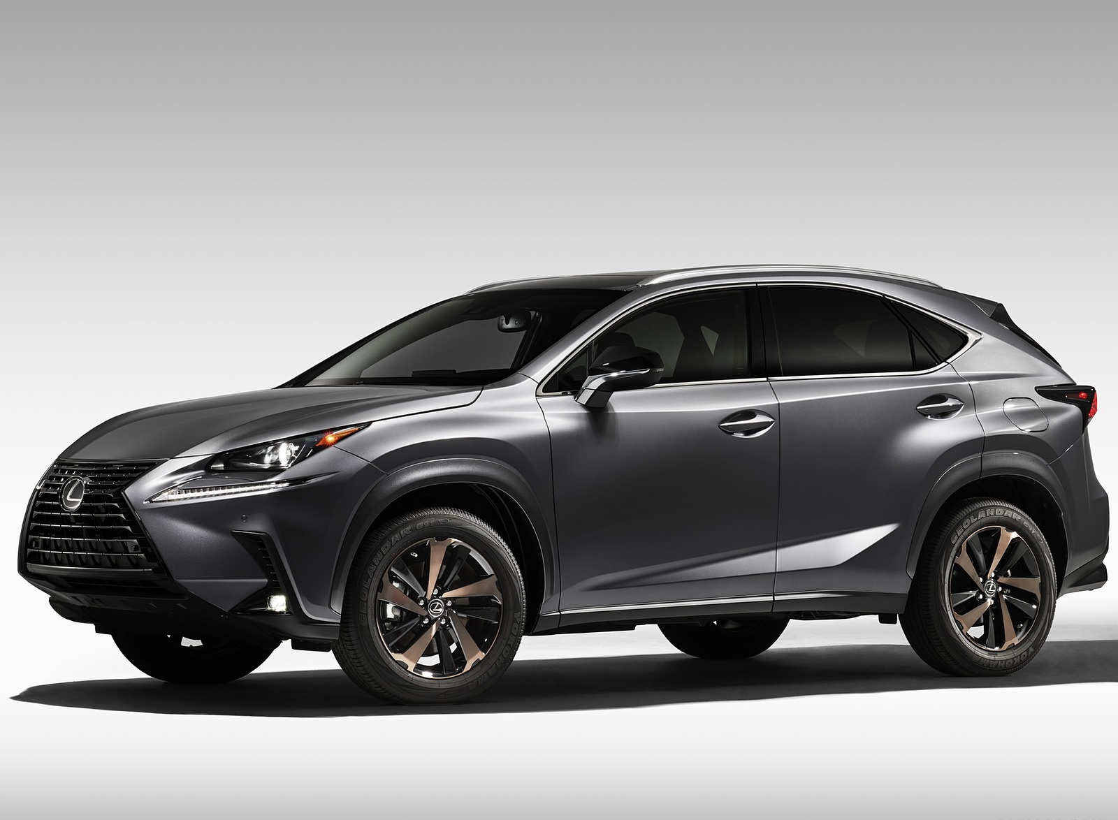 2020 Lexus NX Black Line Special Edition Front Three-Quarter Wallpapers (2)
