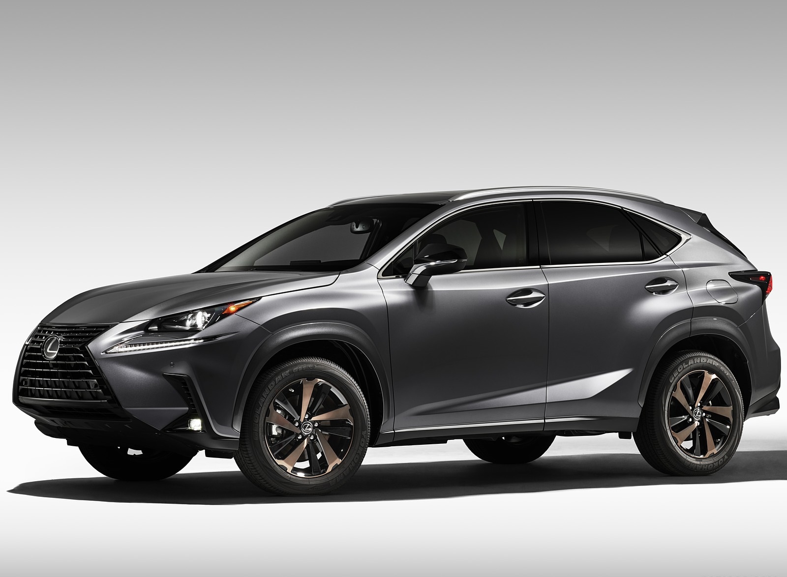 2020 Lexus NX Black Line Special Edition Front Three-Quarter Wallpapers #2 of 9