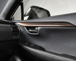 2020 Lexus NX Black Line Special Edition Interior Detail Wallpapers 150x120 (8)