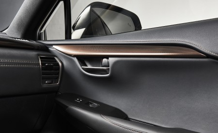 2020 Lexus NX Black Line Special Edition Interior Detail Wallpapers 450x275 (8)