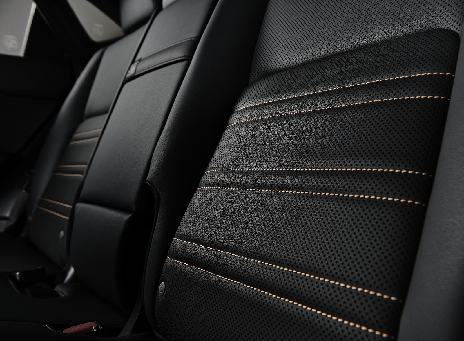 2020 Lexus NX Black Line Special Edition Interior Rear Seats Wallpapers (5)