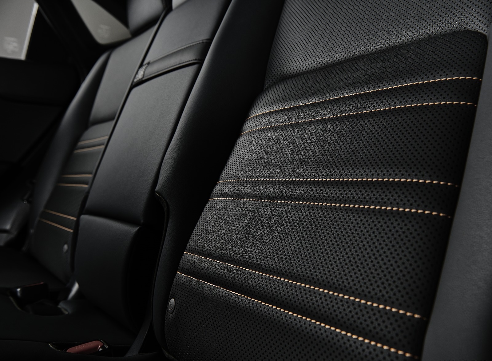 2020 Lexus NX Black Line Special Edition Interior Rear Seats Wallpapers #5 of 9