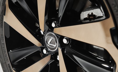 2020 Lexus NX Black Line Special Edition Wheel Wallpapers 450x275 (4)