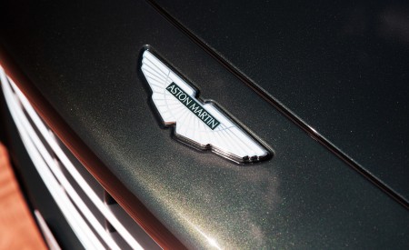 2021 Aston Martin DBX Badge Wallpapers 450x275 (69)