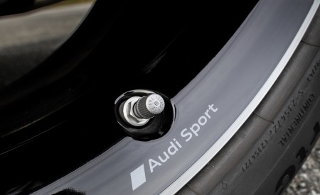 2020 Audi Q7 TFSI e quattro Plug-In Hybrid (Color: Glacier White) Detail Wallpapers 450x275 (34)