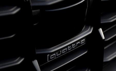 2020 Audi Q7 TFSI e quattro Plug-In Hybrid (Color: Glacier White) Grill Wallpapers 450x275 (29)