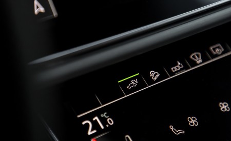 2020 Audi Q7 TFSI e quattro Plug-In Hybrid Interior Detail Wallpapers 450x275 (43)