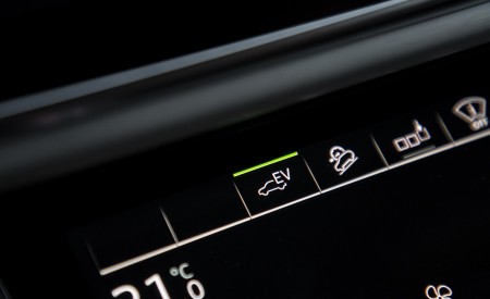2020 Audi Q7 TFSI e quattro Plug-In Hybrid Interior Detail Wallpapers 450x275 (45)