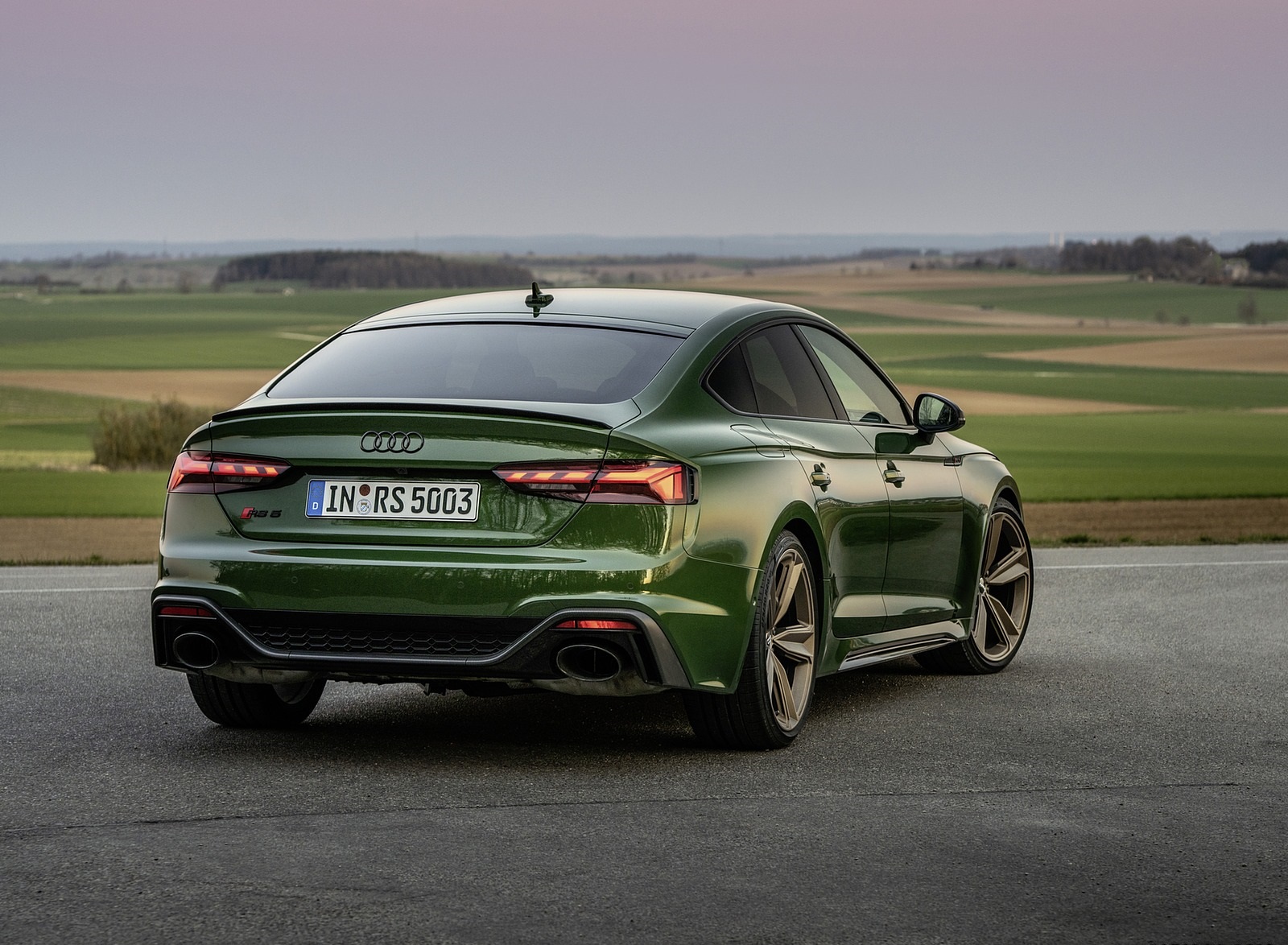 2020 Audi RS 5 Sportback (Color: Sonoma Green) Rear Three-Quarter Wallpapers #14 of 76