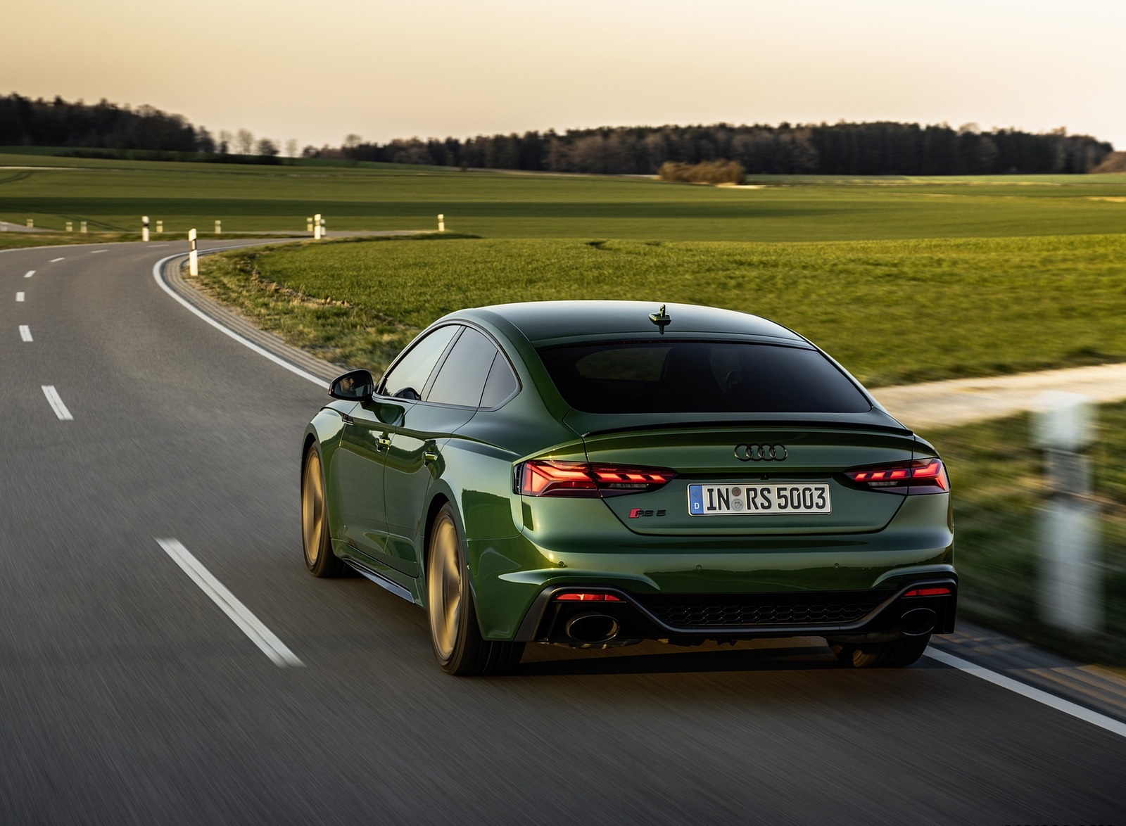 2020 Audi RS 5 Sportback (Color: Sonoma Green) Rear Wallpapers (9)