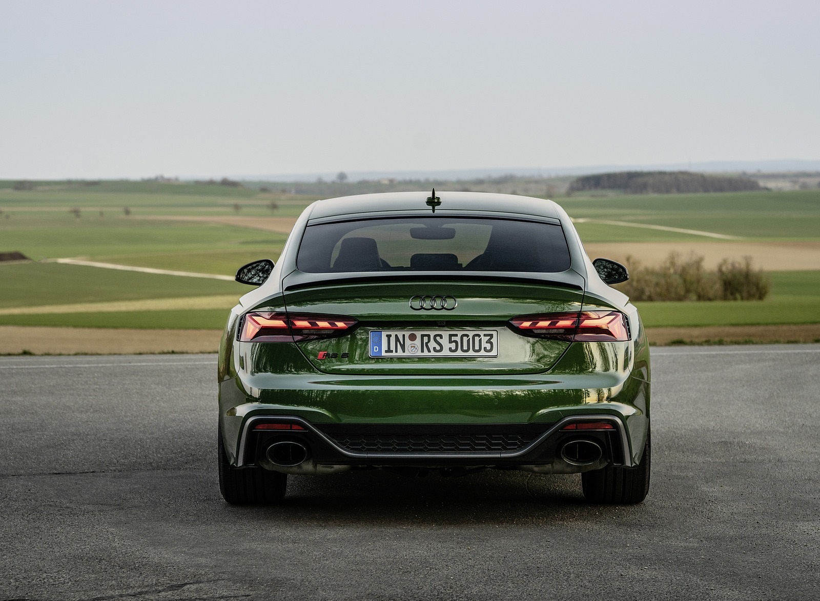 2020 Audi RS 5 Sportback (Color: Sonoma Green) Rear Wallpapers #15 of 76