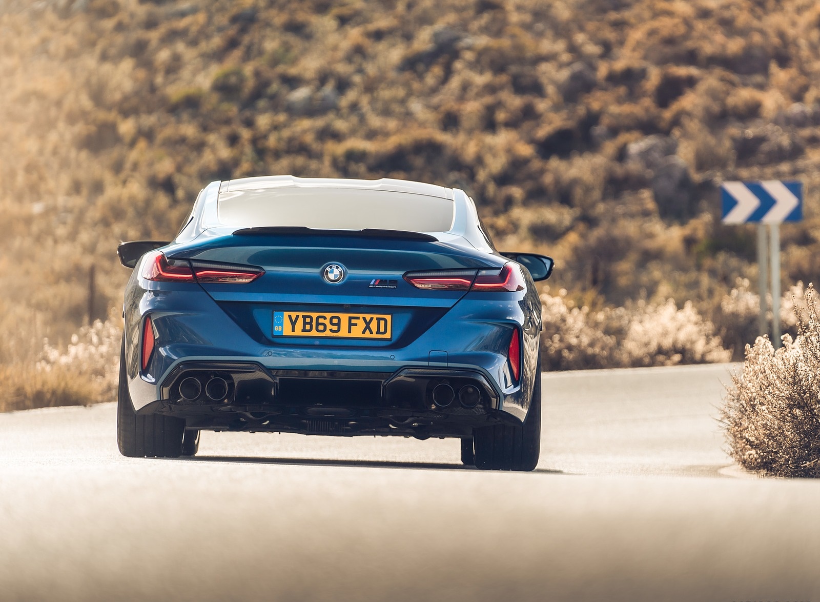 2020 BMW M8 Competition Coupe (UK-Spec) Rear Wallpapers #16 of 35