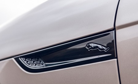 2021 Jaguar F-TYPE Coupe R-Dynamic P450 AWD (Color: Eiger Grey) Detail Wallpapers 450x275 (59)