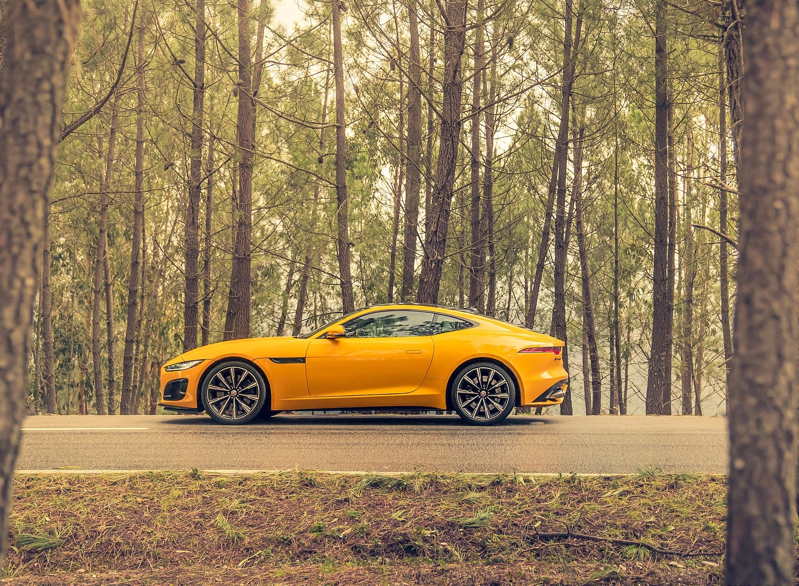 2021 Jaguar F-TYPE R Coupe AWD (Color: Sorrento Yellow) Side Wallpapers #25 of 143