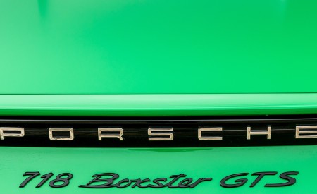 2020 Porsche 718 Boxster GTS 4.0 (Color: Phyton Green) Badge Wallpapers 450x275 (44)