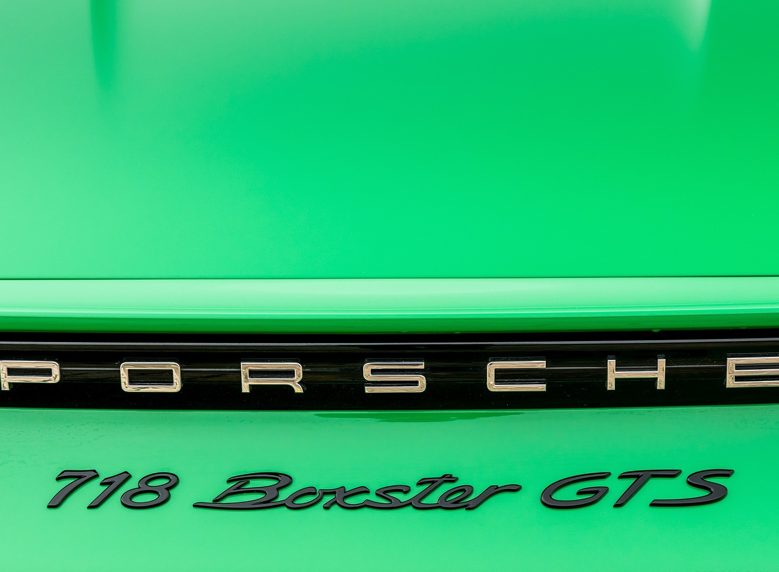 2020 Porsche 718 Boxster GTS 4.0 (Color: Phyton Green) Badge Wallpapers #44 of 191