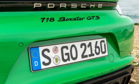 2020 Porsche 718 Boxster GTS 4.0 (Color: Phyton Green) Detail Wallpapers 450x275 (42)