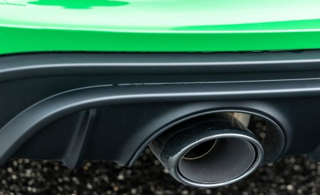 2020 Porsche 718 Boxster GTS 4.0 (Color: Phyton Green) Exhaust Wallpapers 450x275 (38)