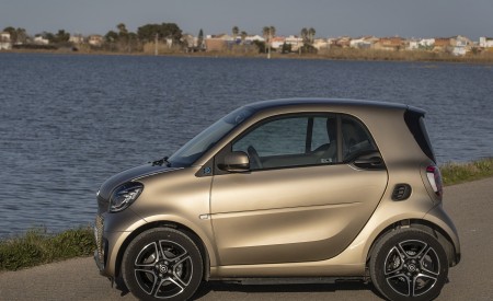 2020 Smart EQ ForTwo Coupe Pulse Line (Color: Gold Beige) Side Wallpapers 450x275 (64)