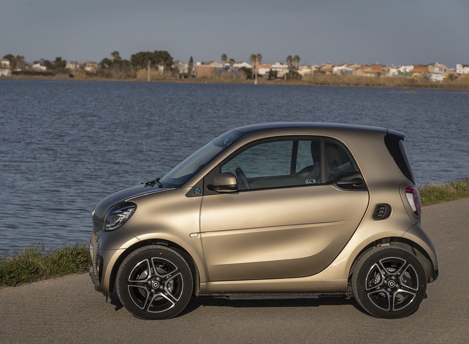 2020 Smart EQ ForTwo Coupe Pulse Line (Color: Gold Beige) Side Wallpapers #64 of 94
