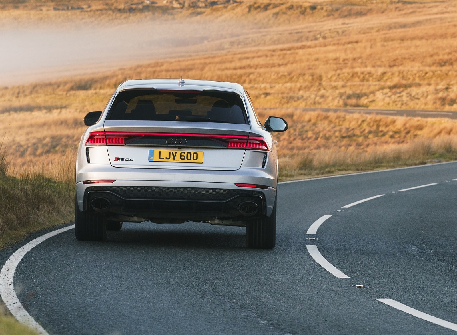 2020 Audi RS Q8 (UK-Spec) Rear Wallpapers #18 of 90