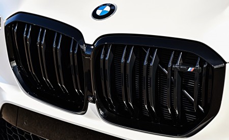 2020 BMW X5 M Competition (Color: Mineral White; US-Spec) Grill Wallpapers 450x275 (183)