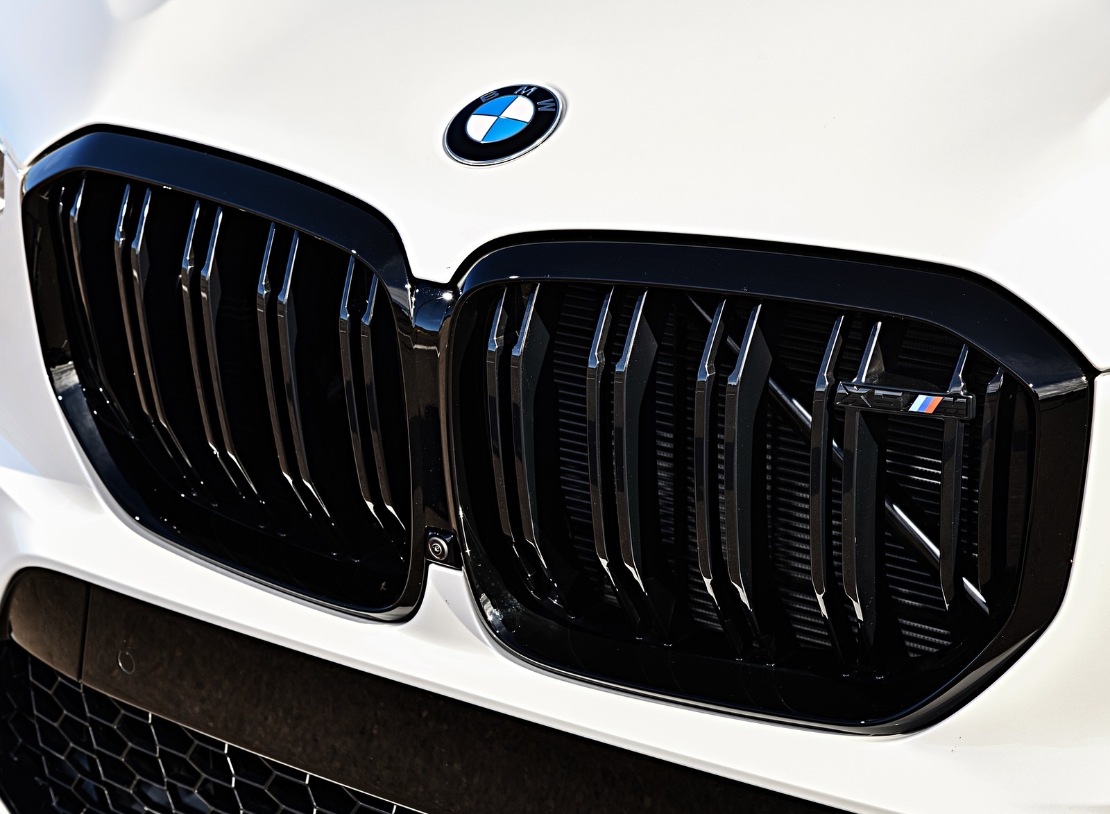 2020 BMW X5 M Competition (Color: Mineral White; US-Spec) Grill Wallpapers #183 of 196