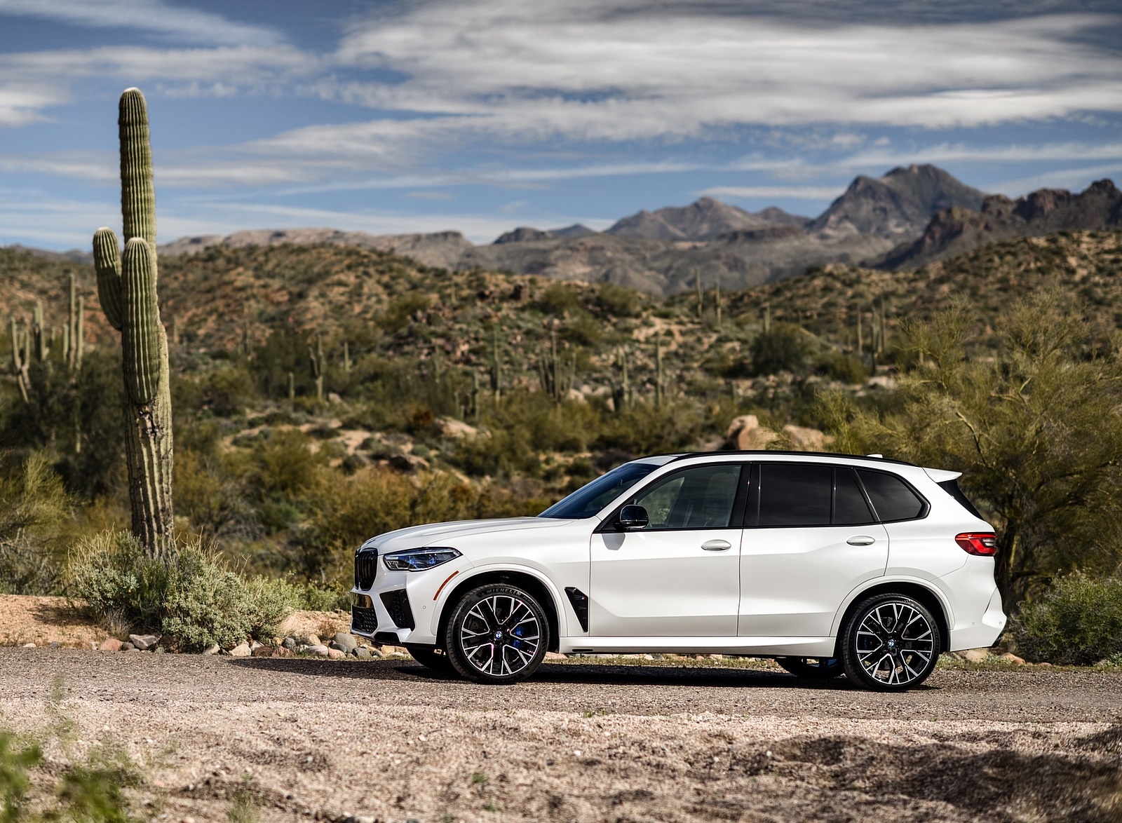 2020 BMW X5 M Competition (Color: Mineral White; US-Spec) Side Wallpapers #178 of 196