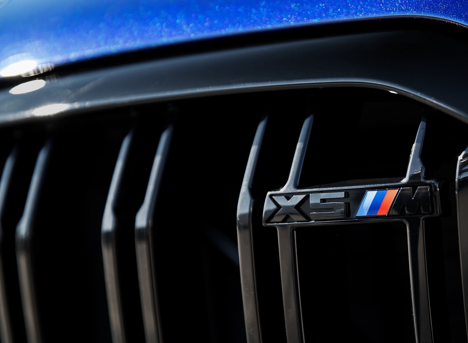2020 BMW X5 M Competition (Color: Tanzanit Blue Metallic; US-Spec) Grill Wallpapers #75 of 196