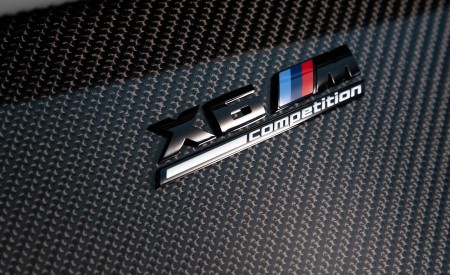 2020 BMW X6 M Competition (Color: Ametrine Metallic; US-Spec) Engine Wallpapers 450x275 (100)