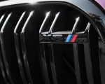 2020 BMW X6 M Competition (Color: Ametrine Metallic; US-Spec) Grill Wallpapers 150x120