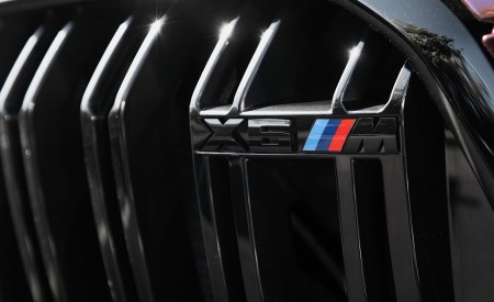 2020 BMW X6 M Competition (Color: Ametrine Metallic; US-Spec) Grill Wallpapers 450x275 (95)