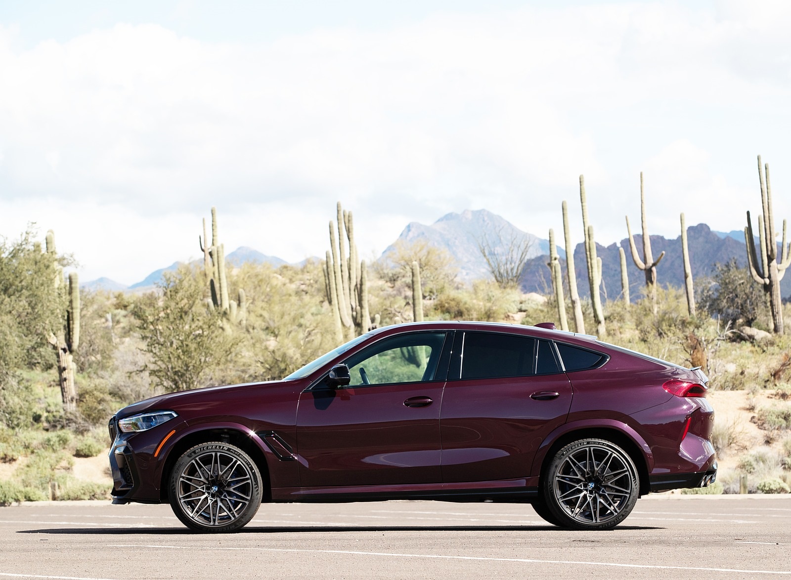 2020 BMW X6 M Competition (Color: Ametrine Metallic; US-Spec) Side Wallpapers #78 of 206