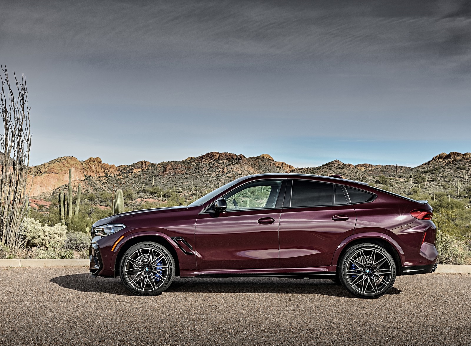 2020 BMW X6 M Competition (Color: Ametrine Metallic; US-Spec) Side Wallpapers #79 of 206