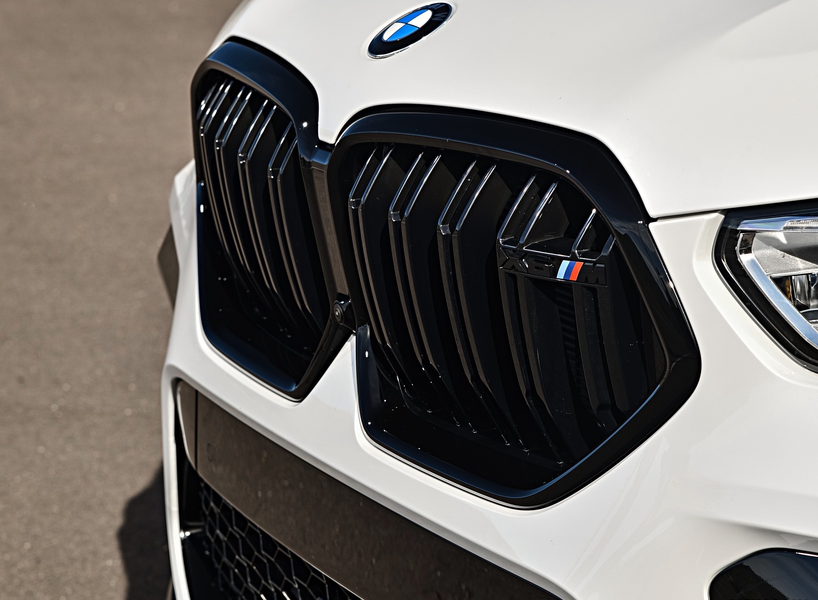 2020 BMW X6 M Competition (Color: Mineral White Metallic; US-Spec) Grill Wallpapers #194 of 206