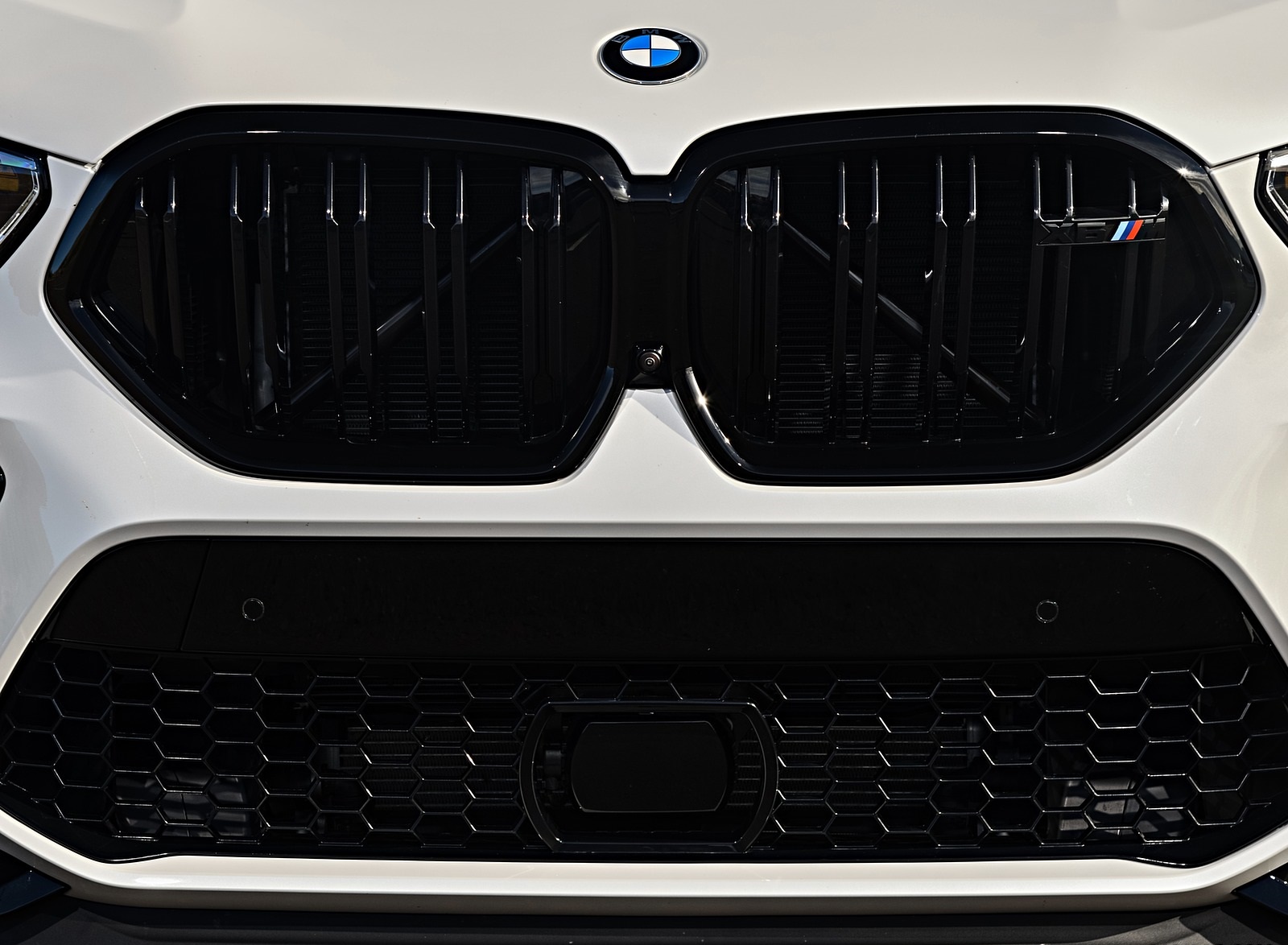 2020 BMW X6 M Competition (Color: Mineral White Metallic; US-Spec) Grill Wallpapers #193 of 206