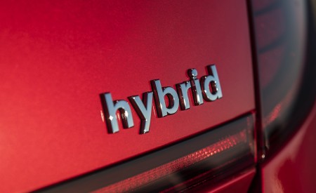2020 Hyundai Sonata Hybrid Badge Wallpapers 450x275 (6)